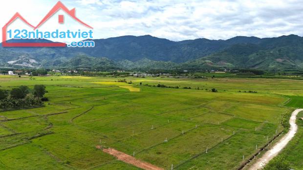 bán đất làm nhà vườn 2.000m2 quy hoạch thổ cư gần chợ Diên Tân, Diên Khánh giá rẻ - 3