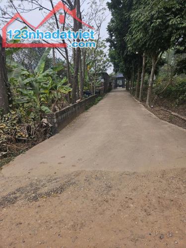 Bán đất 550m2 làm nhà vườn tại Hữu Thủ 2, Kim Long, Tam Dương, Vĩnh Phúc - 2