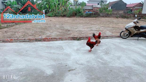 ĐẤT YÊN TÀNG BẮC PHÚ DT 117 M FUN THỔ CƯ GIÁ CỰC SÔC RƠI TIỀN LÀ LÃI