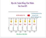 GIÁ NỔ THẲNG DẤT XUÂN ĐỒNG TÂN MINH DT 87,5 NM CHỈ HƠN TỶ VỊ CHÍ ĐÂT NẰM SÁT DG NHỰA 418