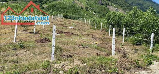 Bán đất vườn Khánh Trung mặt đường bê tông liên thông rộng 7m - gần Farm Hoa Quả Sơn - 2