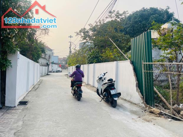 Ra hàng 2 lô đất ngõ đường Phạm Ngọc Thạch, Hưng Dũng TP Vinh 93,9m2-96,3m2 Tây Nam - 4