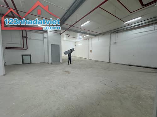 Y8YYRK 🏬 Mặt Tiền Rộng 18M, Tòa Nhà Đẳng Cấp, Vị Trí Đắc Địa, Đầu Tư Cực Hiệu Quả - 4