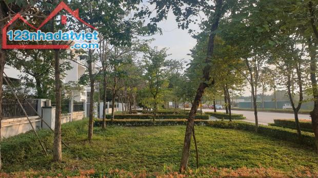 Hiếm! Biệt thự đơn lập 453m2, Lô góc, Mặt Nguyễn Văn Huyên - Tây Hồ. - 4