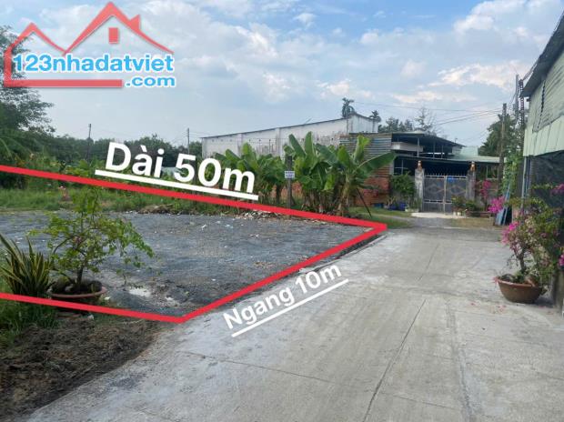 Bán Đất 500m² Sổ Riêng giáp Tân Phong, Bình Ý Tân Bình - 2