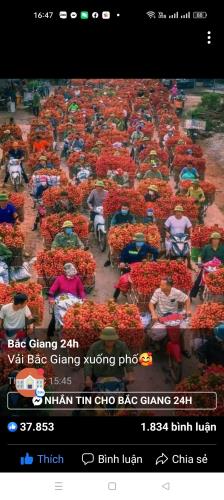 Bán gấp giá rẻ đất phân lô, ô tô 146m, mặt tiền 5m, Đoan Bái, Hiệp Hòa, Bắc Giang.