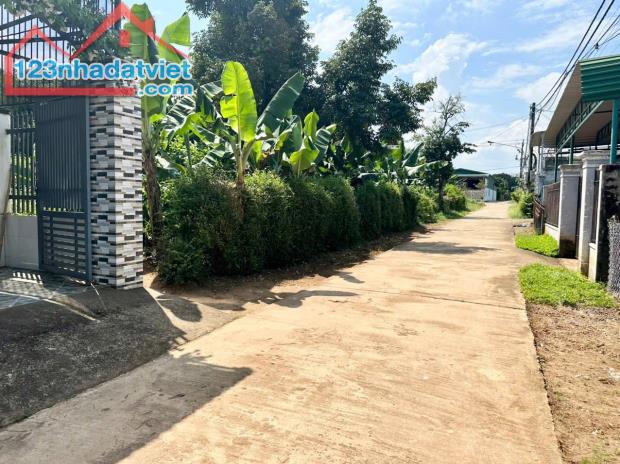 🍎 BÁN LÔ ĐẤT 6x25m cách Y Wang 200m tại CAO THÀNH, XÃ EA KAO Buôn Ma Thuột 🌲 - 2