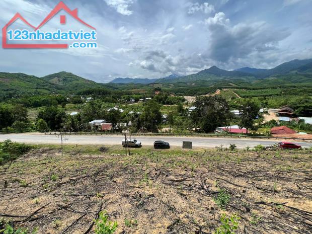 bán đất làm vườn 7.000m2 mặt tiền đường Nha Trang - Đà Lạt, huyện Khánh Vĩnh giá rẻ - 3