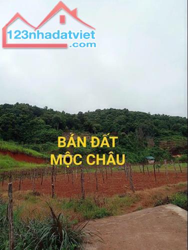 Sở Hữu ĐẤT MỘC CHÂU VIEW ĐẸP, PHÙ HỢP ĐẦU TƯ HOMESTAY, NGHỈ DƯỠNG - VỊ TRÍ VÀNG, GIÁ SIÊU - 1