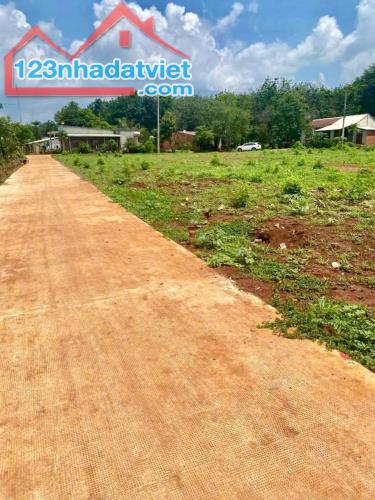 Giá quá rẻ. Hơn 1200m2 đất vườn huyện Đồng Phú sau KCN giá 195tr