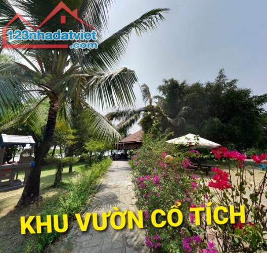 Siêu BIỆT PHỦ 5000m2 có 37 tỷ Ba Sa Phước Hiệp Củ Chi Tp. Hồ Chí Minh - 4