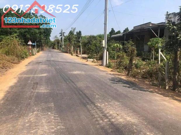 Xử lý nợ cần bán lỗ 2000 m2. giá 300tr đường 8m, nhà nhỏ vườn cây trái. - 3