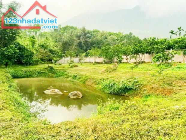 BÁN GẤP ĐẤT VƯỜN 2.500M² CÂY ĂN TRÁI – VIEW THOÁNG MÁT, GIÁ CỰC TỐT CHỈ 850/1.000M² - 5