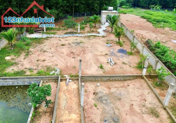 Bán đất vườn Khánh Đông giá rẻ sẵn thổ cư - đã lên mô hình farm cơ bản - 1