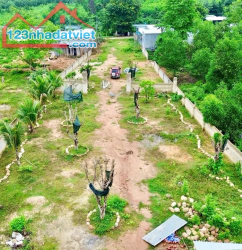 Bán đất vườn Khánh Đông giá rẻ sẵn thổ cư - đã lên mô hình farm cơ bản - 2