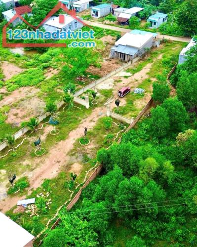 Bán đất vườn Khánh Đông giá rẻ sẵn thổ cư - đã lên mô hình farm cơ bản - 3