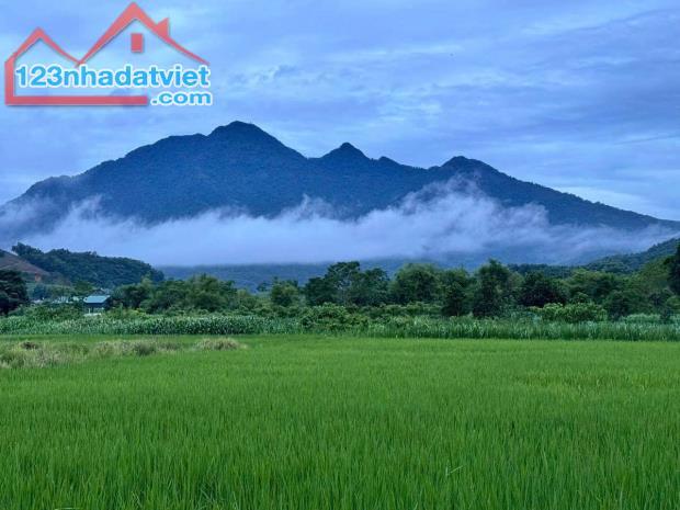 Bán đất Yên Bài, gần Làng Văn Hóa, 367m, 150mTC, view đẹp, oto tránh, chỉ 1.75tỷ