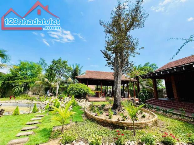 SIÊU HOT – BÁN GẤP ĐẤT NHÀ VƯỜN 2.500M² CHỈ 1 TỶ – CƠ HỘI HIẾM CÓ TẠI THỐNG NHẤT - 1