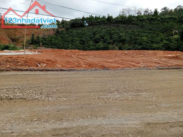 6 sào 200m thổ cư Đại Lào Bảo Lộc. 130m mặt đường 8m - 3