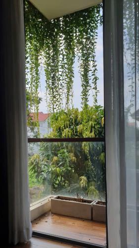 🍁CHÍNH CHỦ CẦN BÁN GẤP BIỆT THỰ ĐẸP TRONG KHU ĐỊNH CƯ 360M NB 💰. Giá 33 tỷ Tl - 4