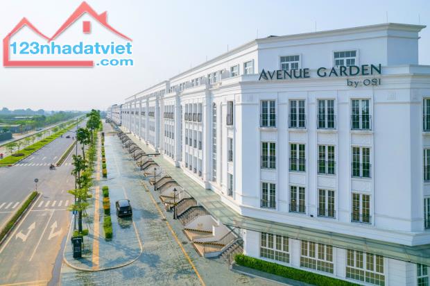 Bán biệt thự Avenue Garden phân khu Thời Đại 222m2 - 2