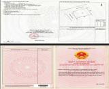 Đất nền nhà phố - thổ cư 100% - sổ riêng từng nền - Long Thọ- Giá trực tiếp