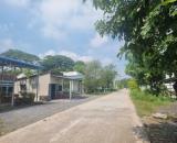 bán đất đường bê tông 5x55m xã Đức Hòa Đông ,Đức Hòa, Long An , giá bán 2 tỷ