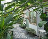 ✅GIÁ BÁN: 3 tỷ 200 triệu ✅BÁN ĐẤT Full Thổ Cư+ NHÀ TRỆT SÂN VƯỜN KDC NÔNG THỔ SẢN