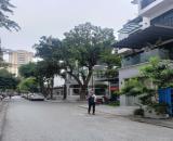 Biệt thự Mễ Trì 131.5m2- 4 tầng, vỉa hè, ôtô tránh, ở VIP, giá 36.6 tỷ