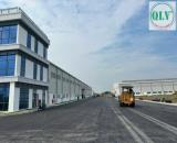 Bán hoặc cho thuê nhà xưởng 30.930 m2 KCN Trảng Bàng, Tây Ninh giá 14,5 triệu USD