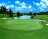 Chuyển nhượng Sân Golf Trảng Bom - Đồng Nai. Diện tích 264ha.