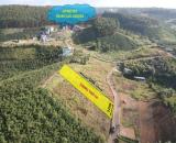 BẢO LỘC | KẾ HOMESTAY TROPICANA GARDEN | 500M2 TC - 2MT GIÁ 750TR