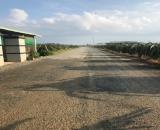 ✳️ Bán 4Ha đất xã Tiến Thành TP Phan Thiết tỉnh Bình Thuận