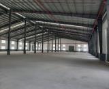 BR. Cho Thuê Nhà Xưởng Sản - Kho Bãi , Tại Trung Tâm Bình Phước Kcn đất đỏ 1, gần kcn