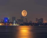 🍒 CHO THUÊ NHÀ MẶT TIỀN 13M MẶT ĐƯỜNG HỒ SEN - NHÀ ĐẸP, THÔNG SÀN