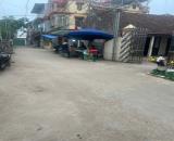 🏘️Thư Phú_Thường Tín_HN  🔹 Diện tích: 46,8m 🔹 đất nở hậu ddepj  **Đường ô tô vào tận đấ