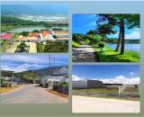 BÁN LÔ ĐẤT ĐẸP TRUNG TÂM D”RAN-LÂM ĐỒNG - GIÁ TỐT