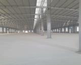 Cho thuê 2 kho 5000m2 và 10.000m2 gần mặt đường QL10, gần Tràng Duệ, đủ PCCC, (tách lẻ đượ
