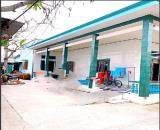 Bán phòng trọ, đường Dương Đình Cúc, 626m2, đất full thổ giá rẻ, thu nhập tốt, bao đầu tư