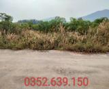 Lô Góc Siêu Đẹp, Tóc Tiên Phú Mỹ 8600M2, 260 Thổ Cư chỉ 11.5T (gặp Chủ)