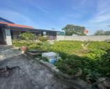 🌟 Siêu phẩm 👉 Vĩnh Mộ - Nguyễn Trãi - Thượng Phúc _ HN ** Diện tích 50m  ** MT: 5,2m = H