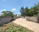 430 TR – 125m² FULL THỔ CƯ – CHÂU DỂ, CAO DƯƠNG, LƯƠNG SƠN (HÒA BÌNH)