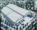 CHO THUÊ NHÀ XƯỞNG – CCN TIẾN HƯNG, ĐỒNG XOÀI, BP – 28.800m²