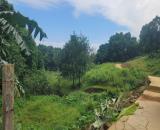 🔥💥 SIÊU PHẨM 4,4HA VIEW ĐỒI CỰC ĐẸP – LƯƠNG SƠN, HÒA BÌNH