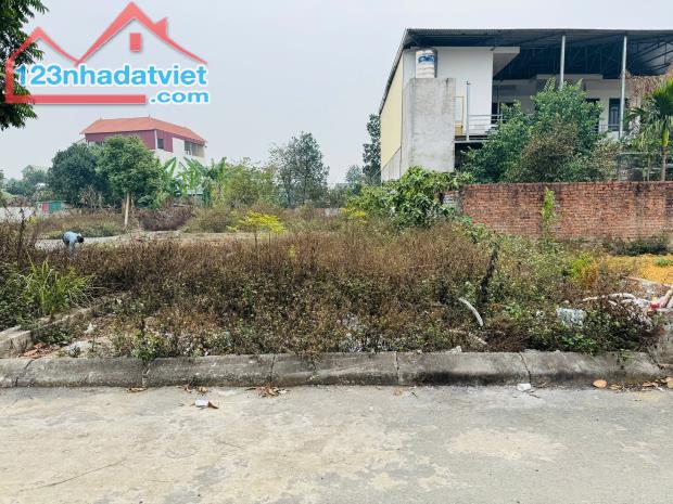 TRỤC CHÍNH PHÚC TIẾN, BÌNH YÊN, 72,5M2 GIÁ HƠN 2 TỶ - 1