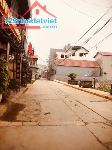 HÓT. Cần bán đất kinh doanh tt Quang Minh, Mê Linh, giá chỉ 4x tr/m2. - 1