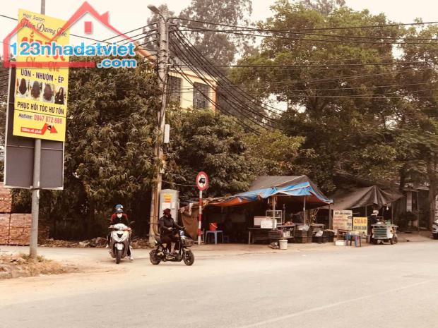 HÓT. Cần bán đất kinh doanh tt Quang Minh, Mê Linh, giá chỉ 4x tr/m2. - 3