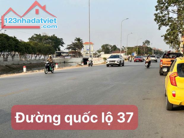 Bán lô đất 2 mặt tiền Quốc Lộ 37 cách 300m đến đèn đỏ Tân Phú Hưng.TP Hải Dương - 2