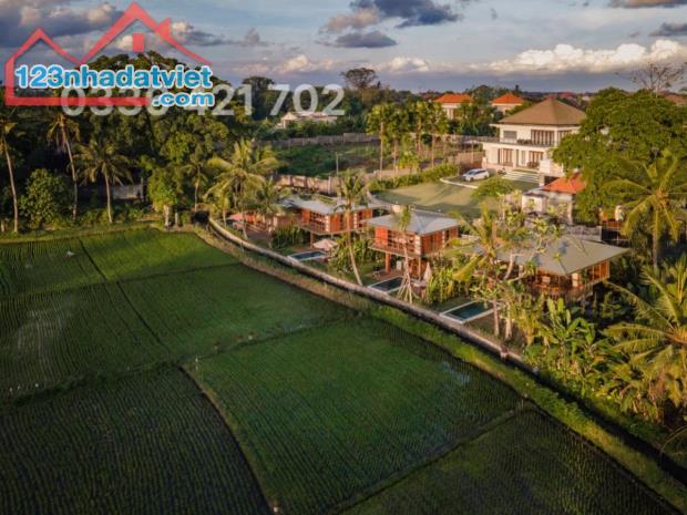 Mặt tiền ngang 11m view lúa cực chill sát chuỗi resort Nam Hội An/SHR - 2