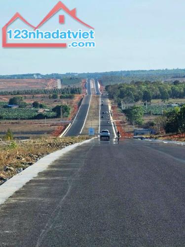 Bán đất Mặt Tiền đường 719B xã Tiến Thành, TP Phan Thiết - 2